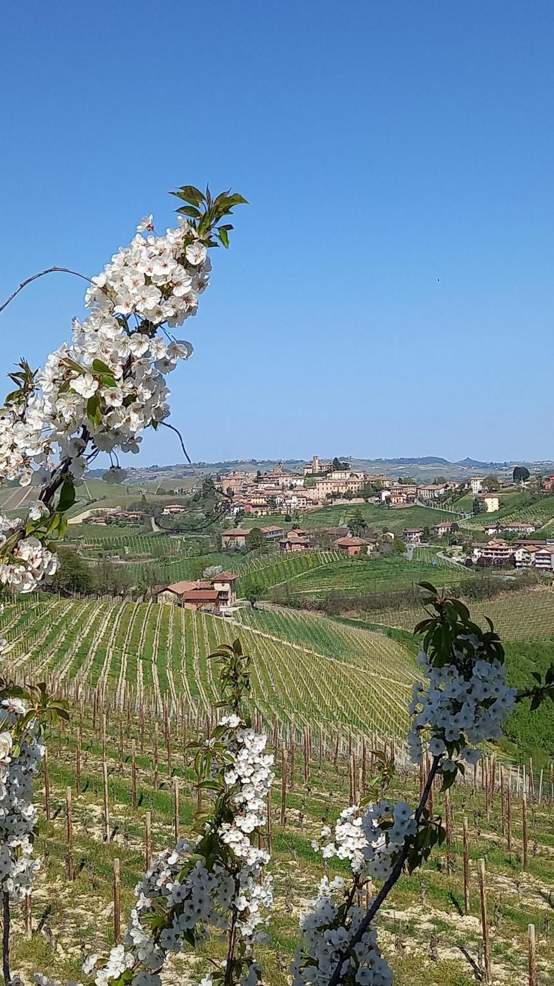 I Quattro Grappoli Bed & Breakfast Neive Exterior foto